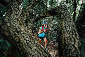 BIB: 
                            <button type="button" onclick="openModal(25391907)" class="btn btn-primary btn-sm float-right btn-popup" data-toggle="modal" data-target=".modal-high-quality">
                        <i class="fas fa-shopping-cart"></i> Add to Cart
                    </button>
                                            <button type="button" onclick="isThisMe(25391907, true)" class="btn btn-success btn-sm float-right btn-popup btn-isme hidden" data-toggle="tooltip" data-placement="bottom" title="นี่คือรูปของคุณใช่ไหม คลิกที่นี่เพื่อเอาเข้าอัลบั้ม">
                        <i class="fas fa-plus"></i> Add to album
                    </button>
                    <button type="button" onclick="isThisMe(25391907, false)" class="btn btn-warning btn-sm float-right btn-popup btn-isnotme hidden">
                        <i class="fas fa-ban"></i> Remove from album
                    </button>